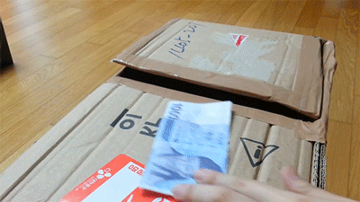 cats animated GIF
